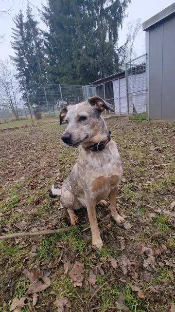 Emma | Foto: Sabine Pollok