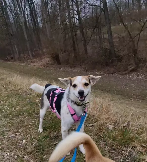Lucia | Foto: Sabine Pollok