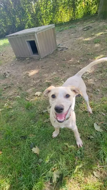 Emily | Foto: Sabine Pollok