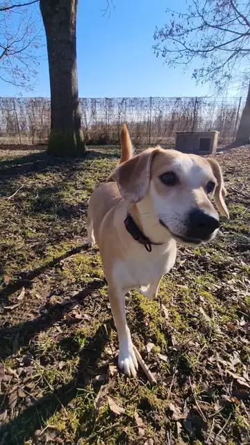 Loredana | Foto: Sabine Pollok