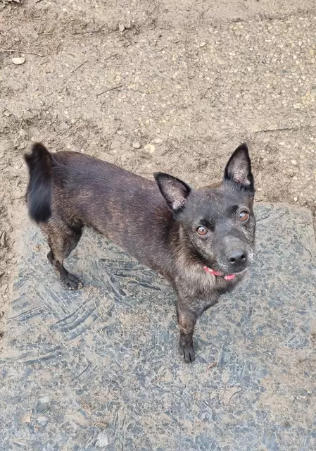 Schneewittchen | Foto: Sabine Pollok