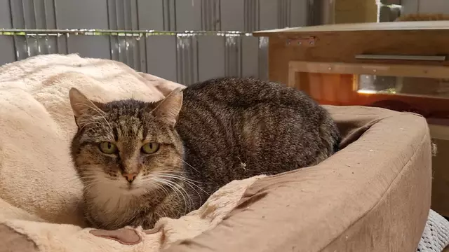 Granny | Foto: Sabine Pollok