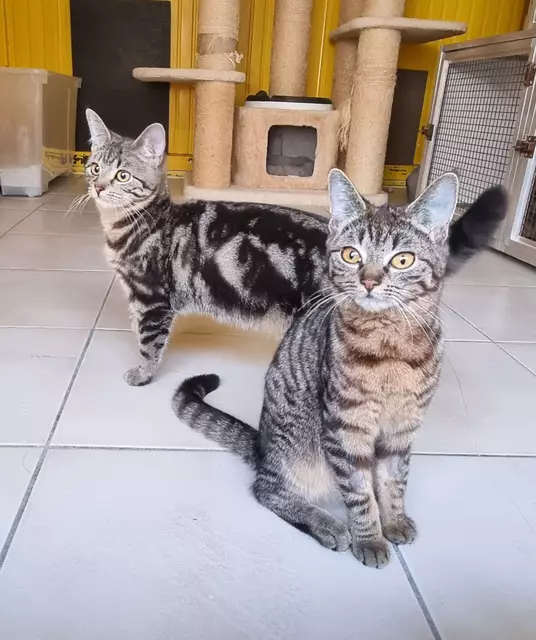 Melina und Melissa | Foto: Sabine Pollok