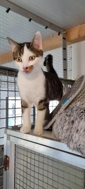 Max | Foto: Sabine Pollok