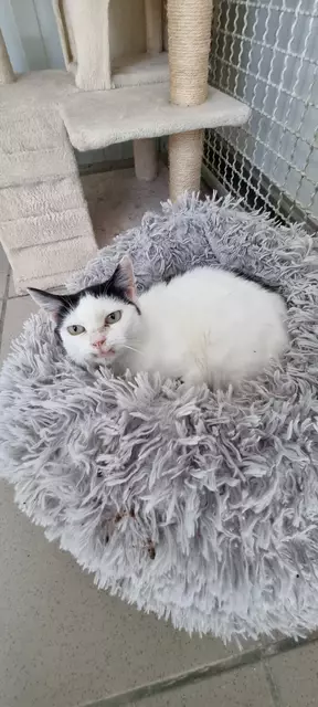 Sissi | Foto: Sabine Pollok