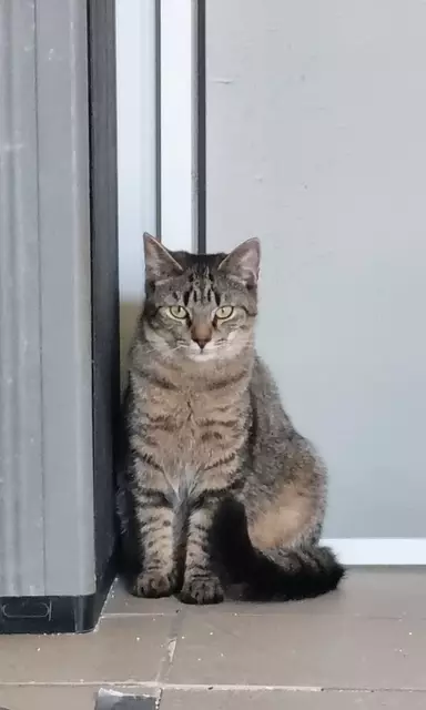 Sparrow | Foto: Sabine Pollok