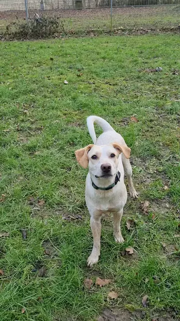 Emily | Foto: Sabine Pollok