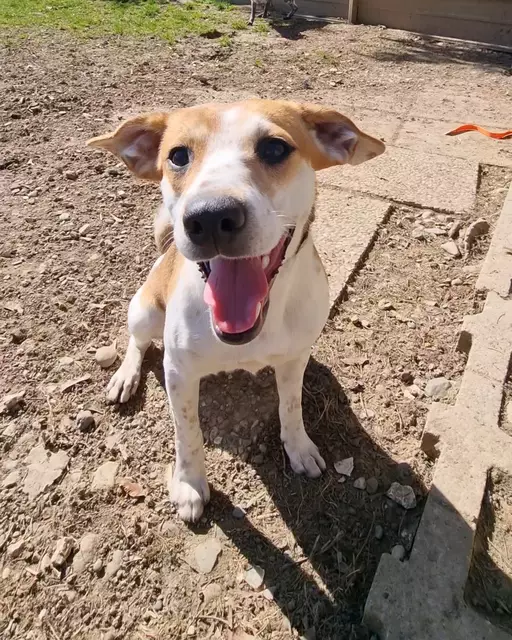 Luca | Foto: Sabine Pollok