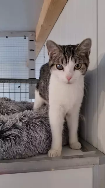 Vitus | Foto: Sabine Pollok