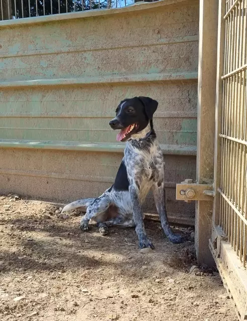 Emil | Foto: Sabine Pollok