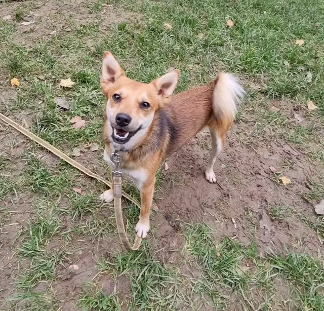 Jeronemo | Foto: Sabine Pollok