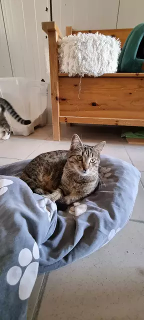 Schröder | Foto: Sabine Pollok