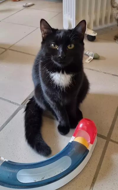 Thalia | Foto: Sabine Pollok