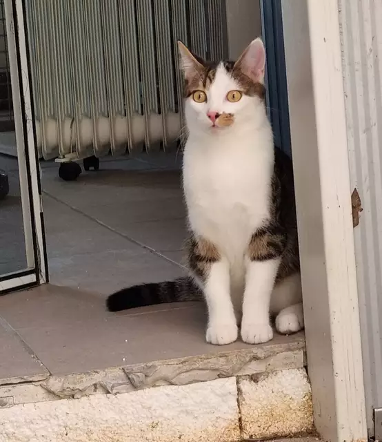 Max | Foto: Sabine Pollok