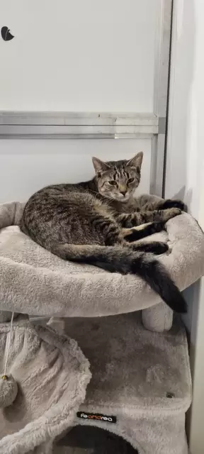 Sparrow | Foto: Sabine Pollok