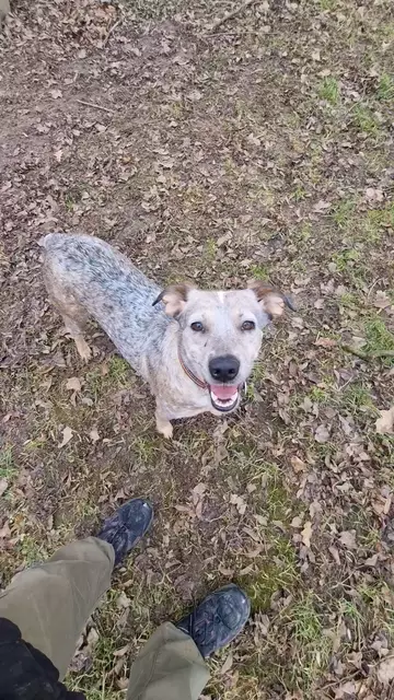 Emma | Foto: Sabine Pollok