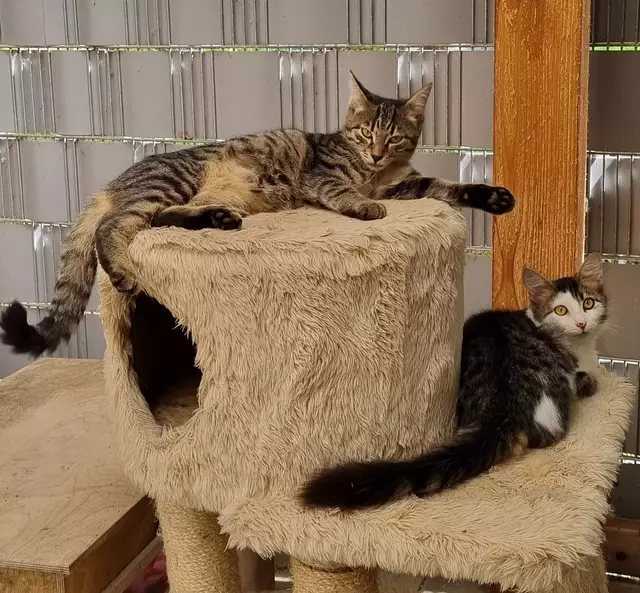 Konrad und Kasimir | Foto: Sabine Pollok