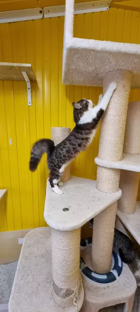 Melody | Foto: Sabine Pollok