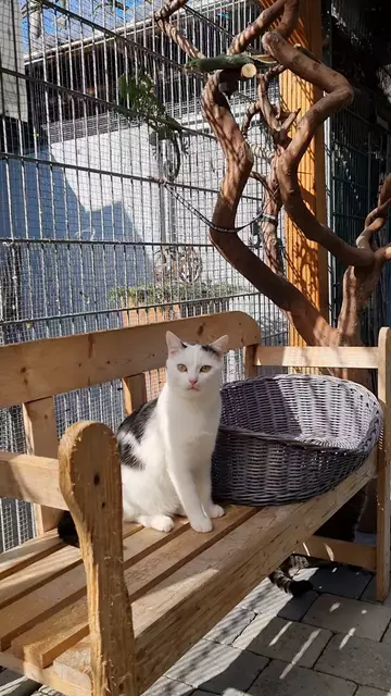 Snow | Foto: Sabine Pollok