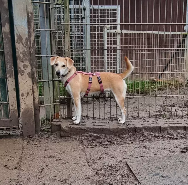 Loredana | Foto: Sabine Pollok