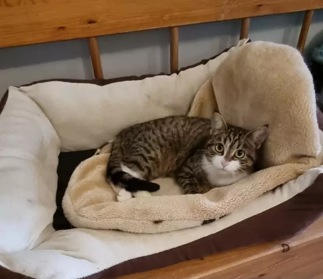 Tami | Foto: Sabine Pollok