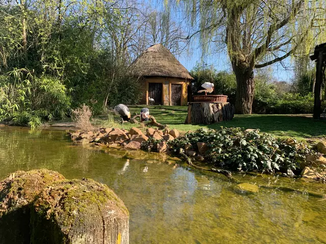 Jetzt kann es los gehen