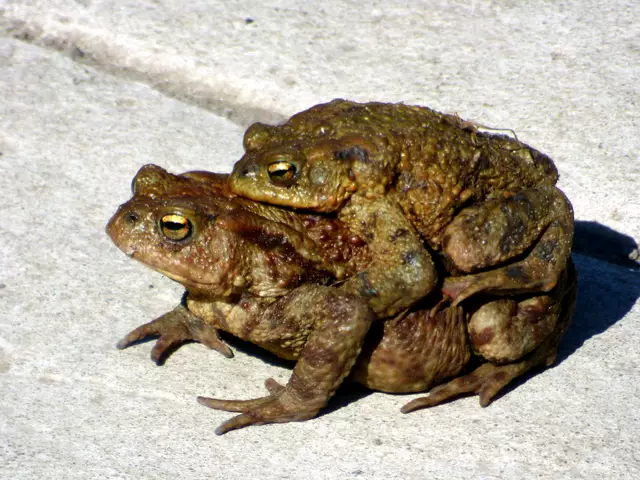 Willkommen, ich nehme euch mit zu einer kleinen Tour