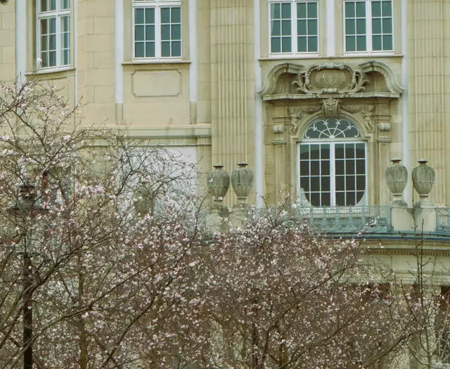Frühlingsblüher auch vor dem Oberlandesgericht