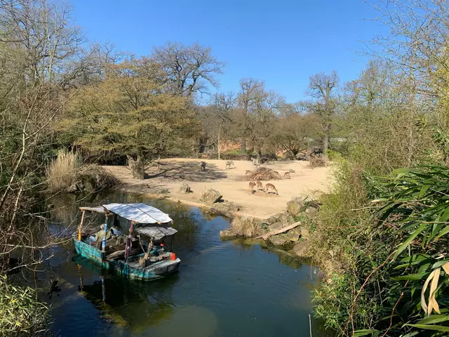 Die Plätze in der ersten Reihe sind natürlich beliebt