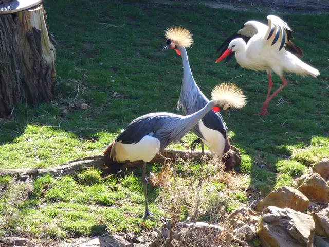 Gegenüber von der Anlegestelle