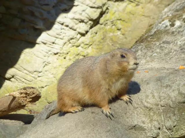 Weiter geht es zum Yukon Bay