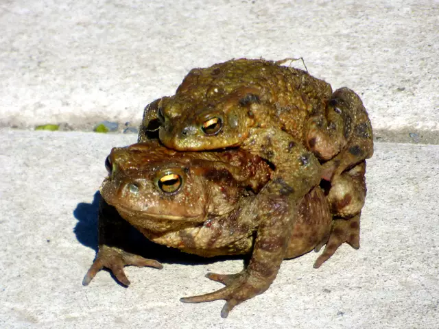 Sie verabschieden sich von Uns - Goodbye bis nächstes Mal