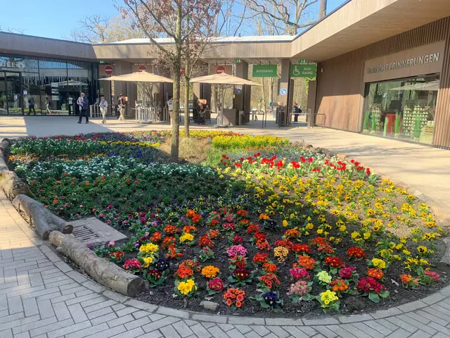 Der Zooeingang im Frühling