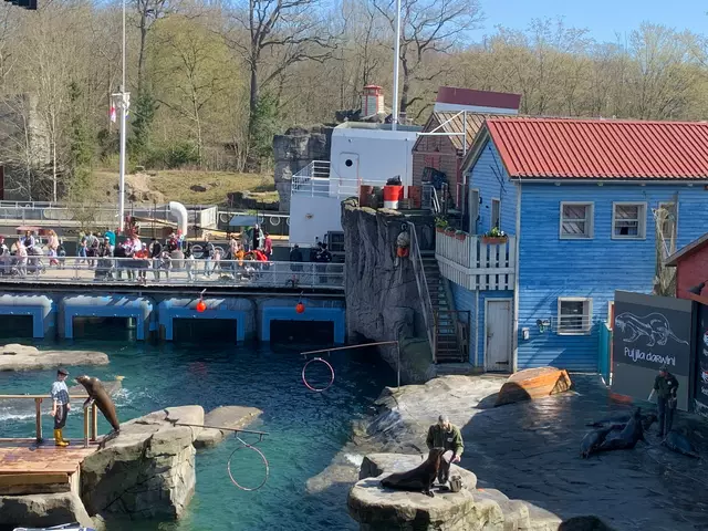 Flinke Flossen, wilde Wellen - die Tiershow