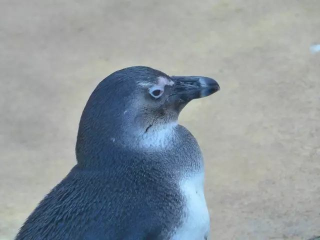 Auf dem Schiff ist unser Stammplatz
