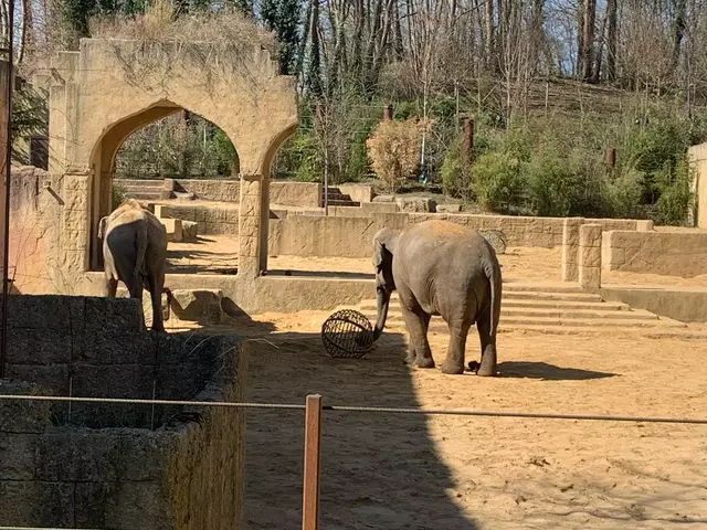 Sie bekommen bald noch mehr Platz