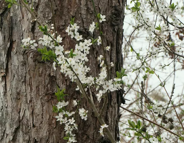 Im Stadtpark (wie auch die vorhergehenden Fotos).