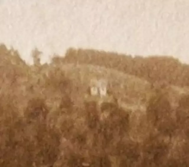 Hütte über der Burg Hatzfeld - Bild von 1910