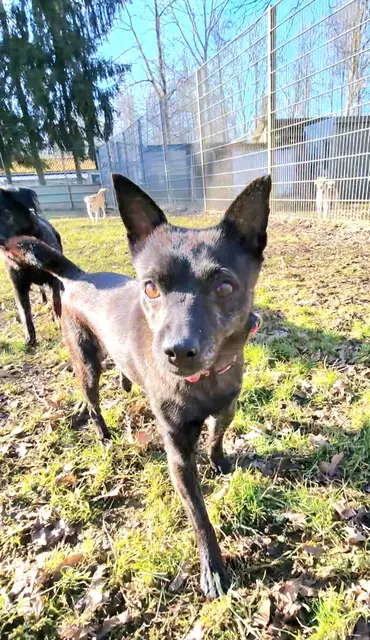 Schneewittchen | Foto: Sabine Pollok