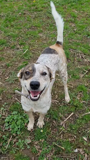 Elisa | Foto: Sabine Pollok