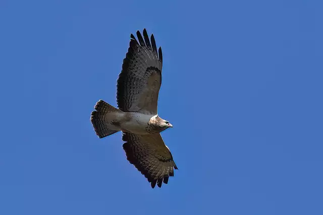 Foto: Copyright Andreas Schäfer