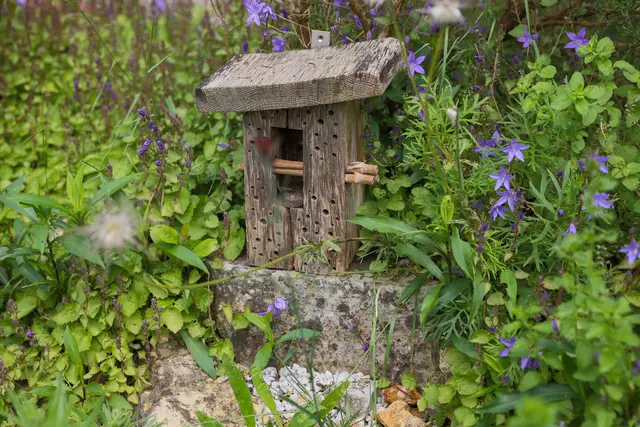 Der beste Weg zu einer hohen Artenvielfalt im eigenen Garten ist ein bunter Mix aus Lebensräumen wie z. B. ein Wildblumenbeet sowie ein Insektenhotel aus Totholz.  | Foto: HLC/NABU/Volker Gehrmann/gARTENreich