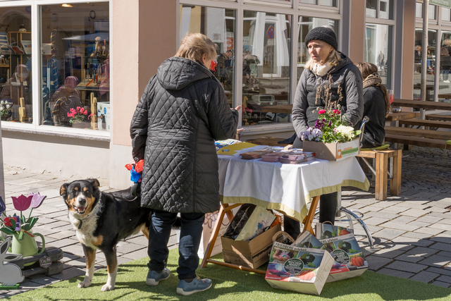 Judika-Markt 2025 in Friedberg/Bayern | Foto: FSeventfoto