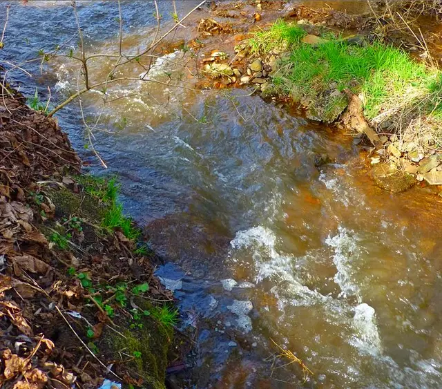 Foto: Unser Niagarafall