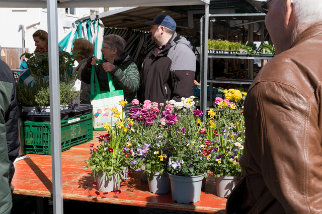 Judika-Markt 2025 in Friedberg/Bayern | Foto: FSeventfoto