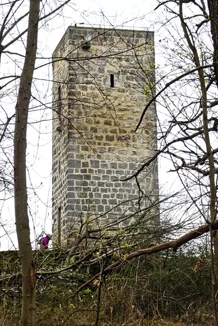 Steinholzwarte