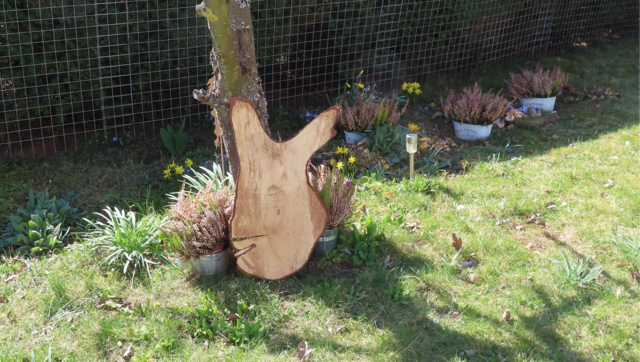 Ausschnitt aus dem Original-Foto. | Foto: M. A.