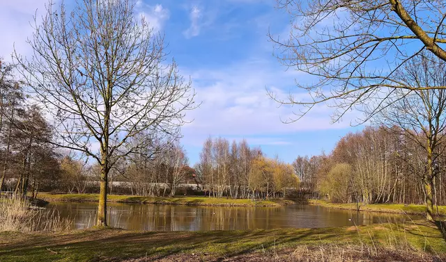 Im Gebiet des Rubbenbruchsees befinden sich zahlreiche Wanderwege. | Foto: Shima Mahi