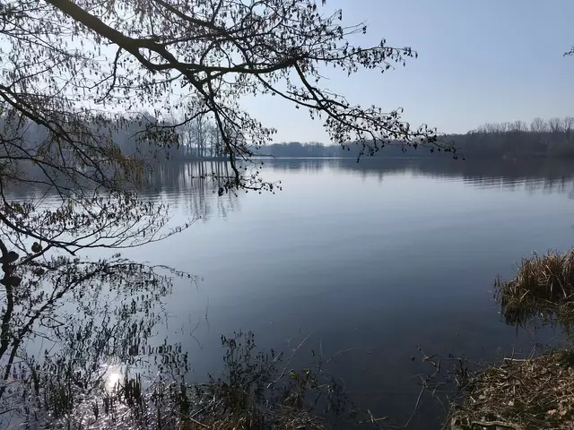Blick auf den See | Foto: Shima Mahi