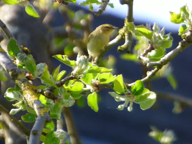 Aaaaalso, dann wollen wir mal.......................